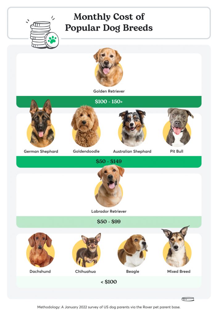 A cost breakdown of expenses by dog breed