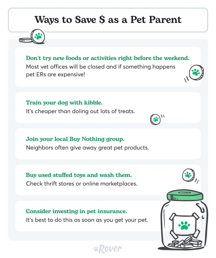 A graphic of ways for dog owners to save money