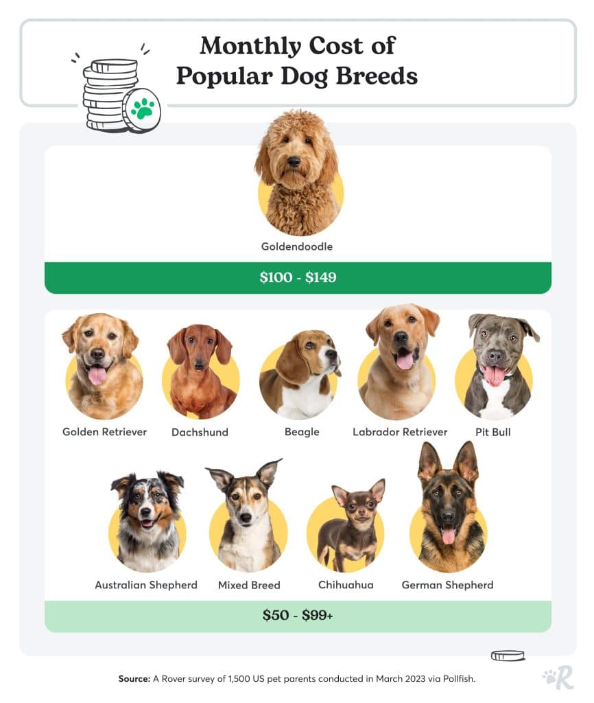 A breakdown of how much each of the 10 most popular dog breeds in the US cost, reported by dog owners.