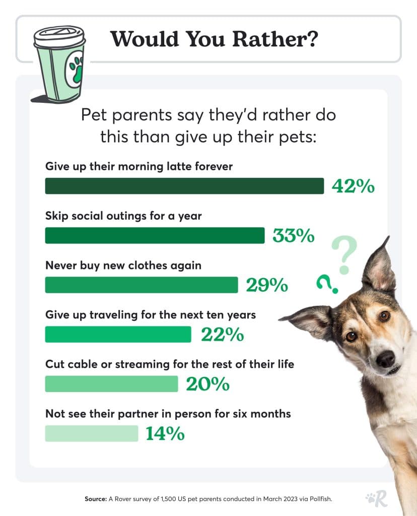 A green bar chart with a dog showing things that dog owners would rather give up than their dog.