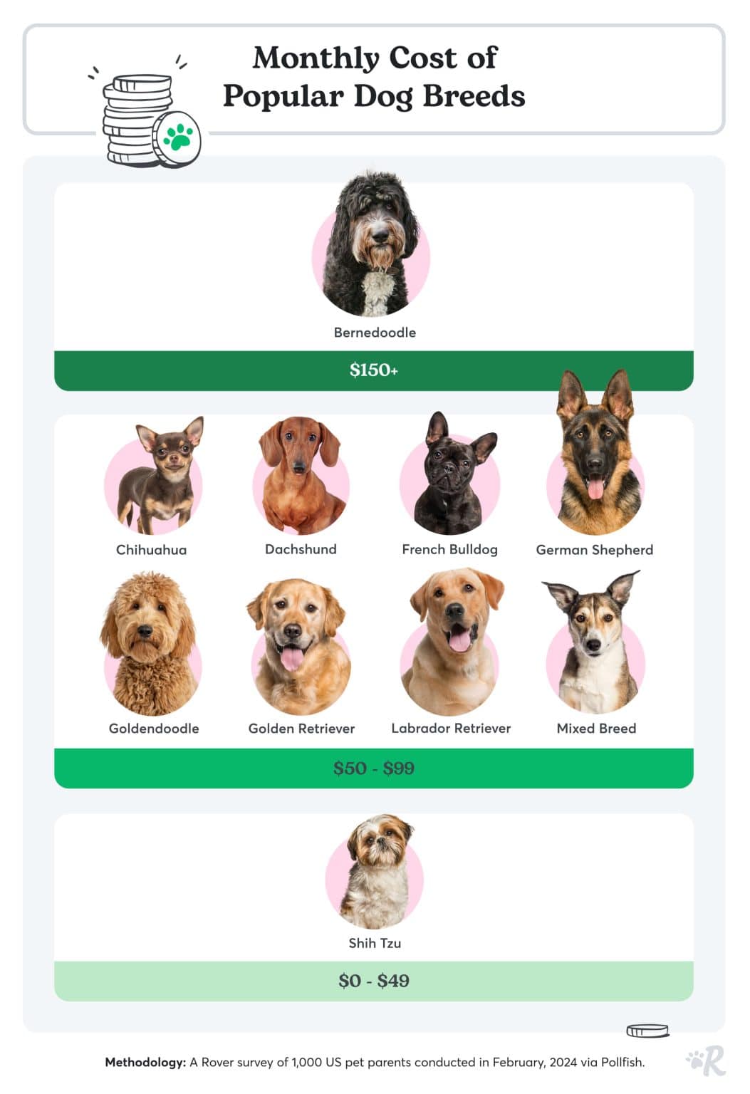 Cost of Owning a Dog From Initial Cost to Annual Essentials