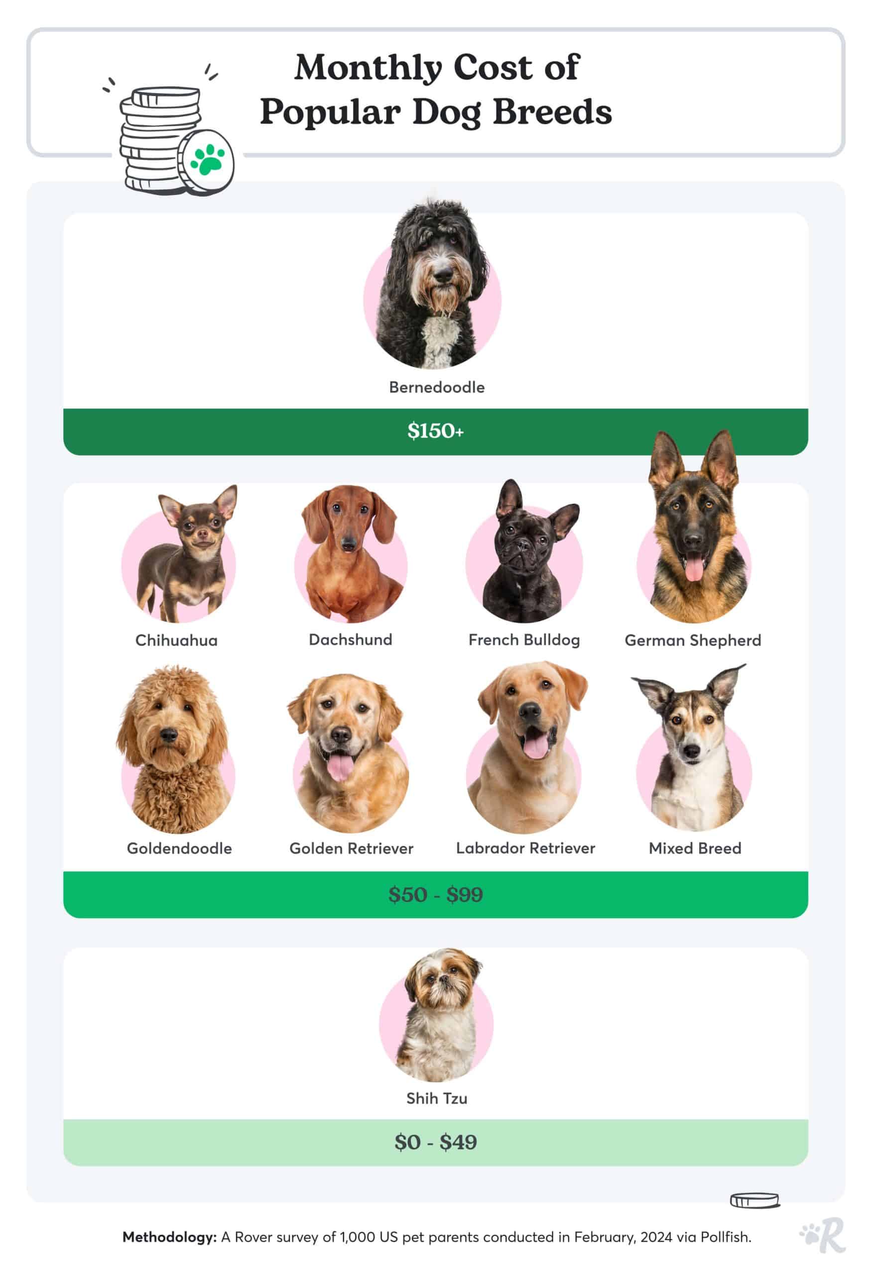 Cost of Owning a Dog From Initial Cost to Annual Essentials