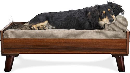 Small black and tan dog on a couch-style elevated bed.