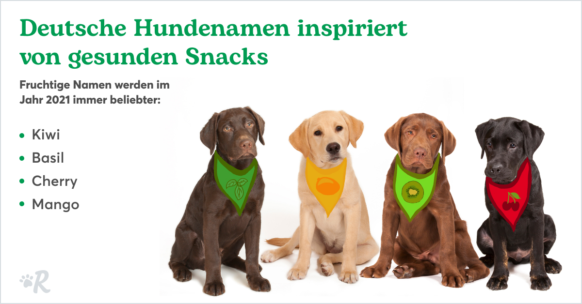 Deutsche Hundenamen inspiriert von gesunden Snacks