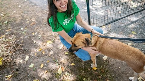 A sitter on Rover in a green Rover tshirt, snuggling a dog.