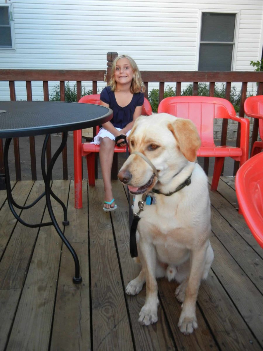 Rescue dog with Gentle Leader