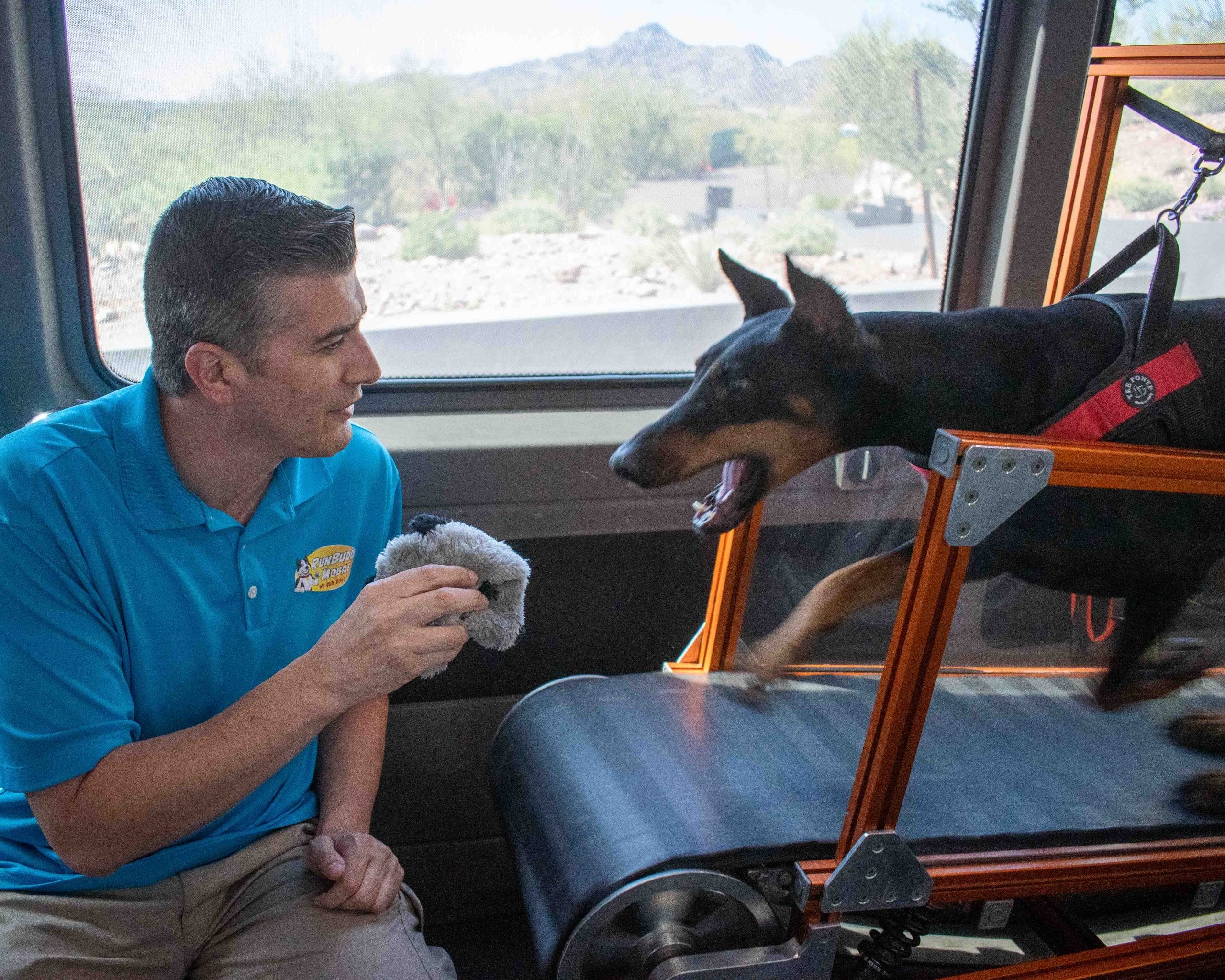 Bark N' Roll provides mobile treadmill service, exercise to dogs