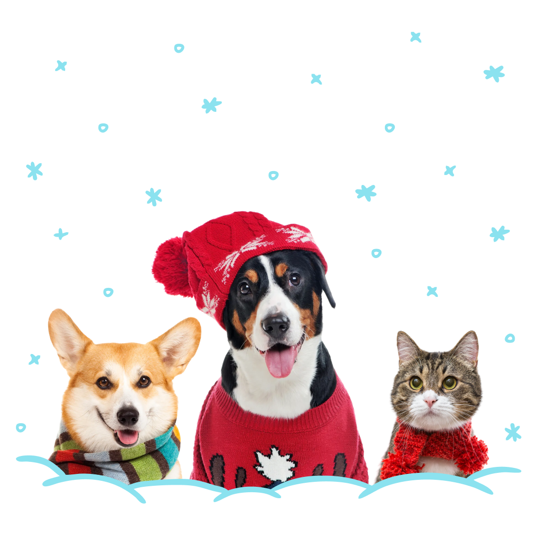 Have Pet Care, Will Travel: Rover Gives Pet Parents Peace of Mind