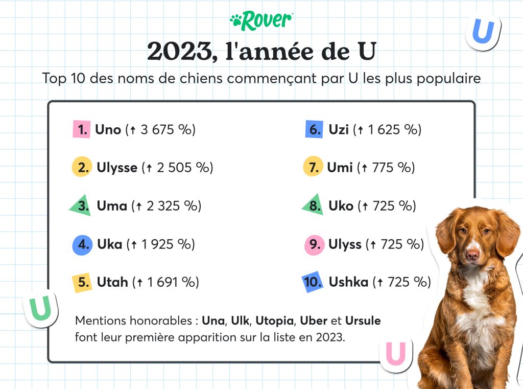 Nom de chien les plus populaires en France avec "U".  