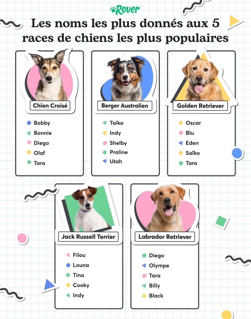 infographie de la liste des noms de chiens les plus en vogue par race
