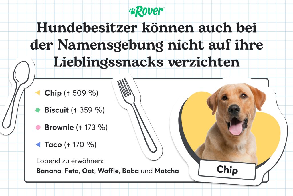 Hundenamen Infografik - Labrador namen Chip