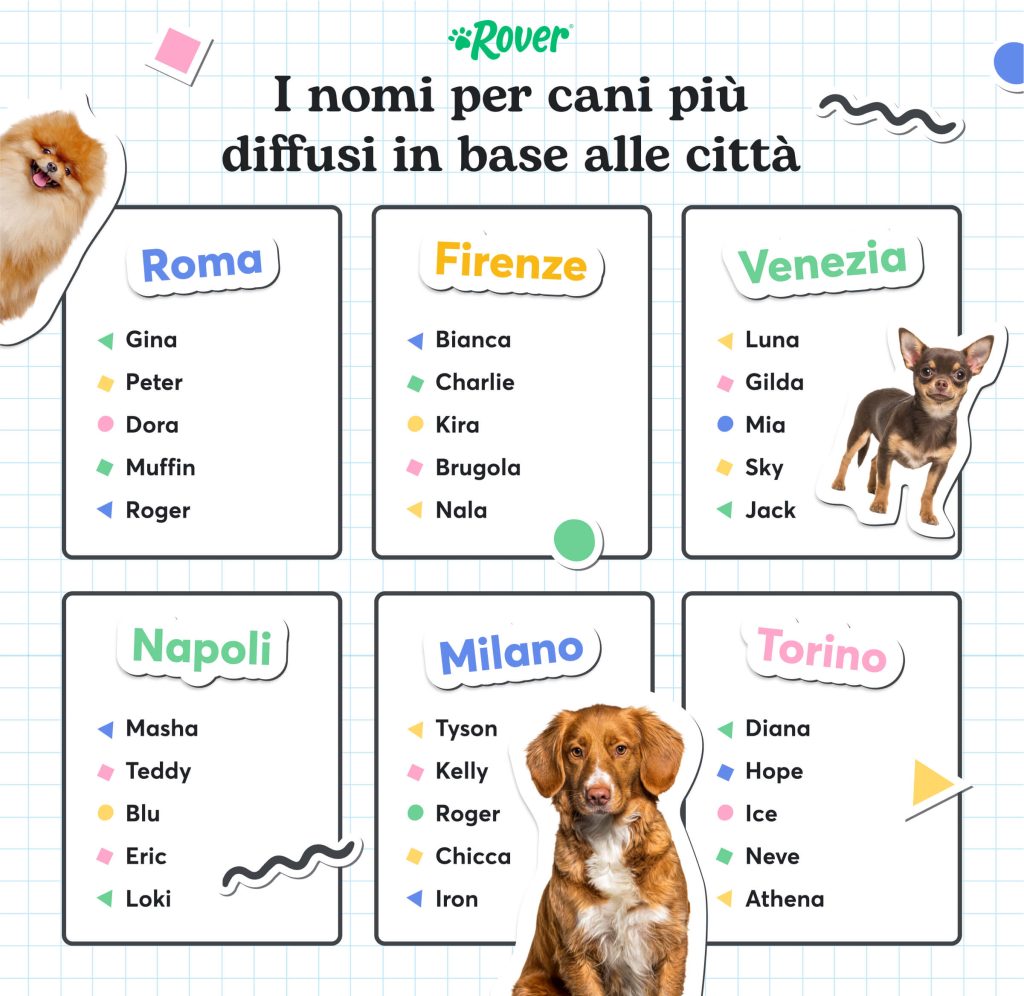 Infografica con i nomi per cani più  diffusi, divisi per città. Foto di un cane. 