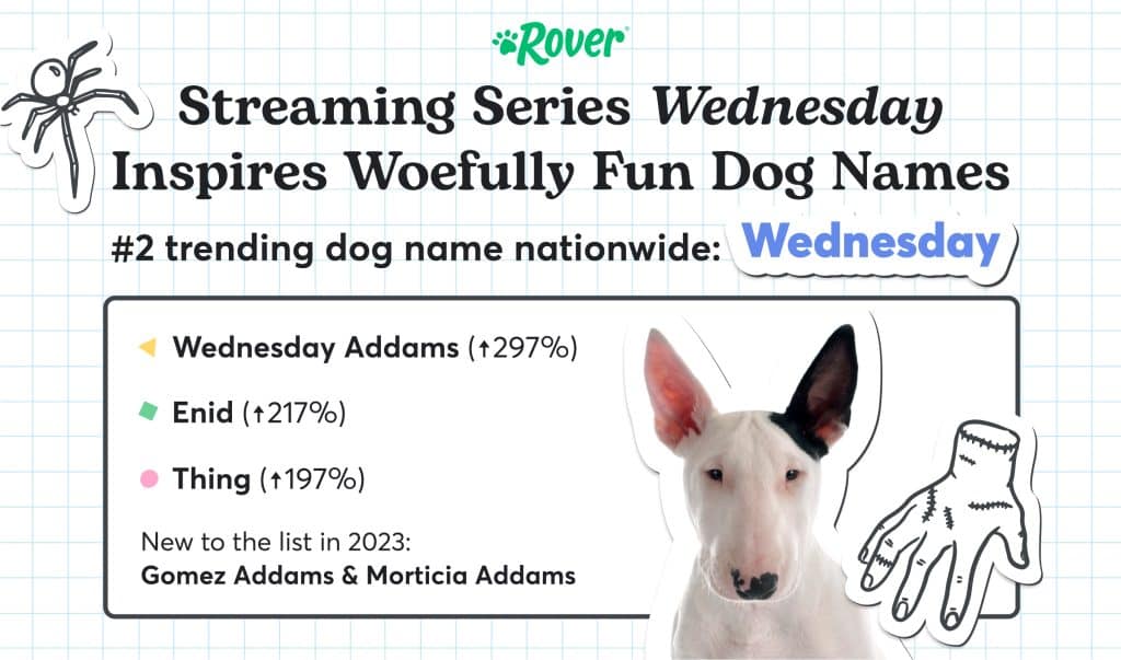 An infographic showing that Wednesday-themed dog names are trending, including Enid and thing.