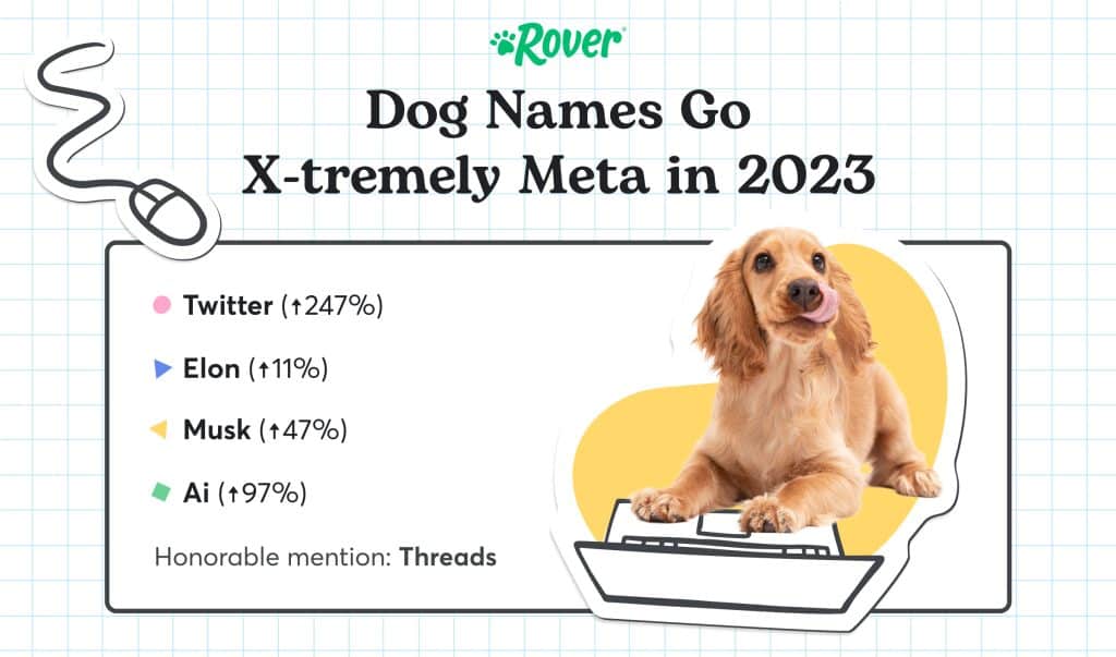 A graphic of a golden retriever on a laptop to represent top tech inspired dog names of 2023