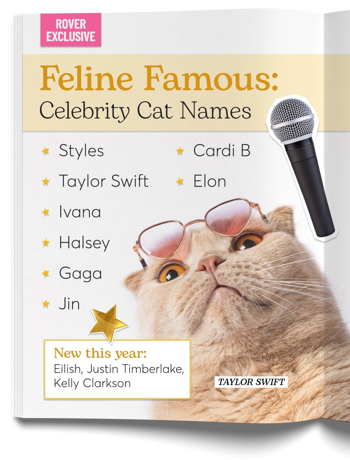 An infographic with a cat and a microphone for the top "celebrity" cat names of the year