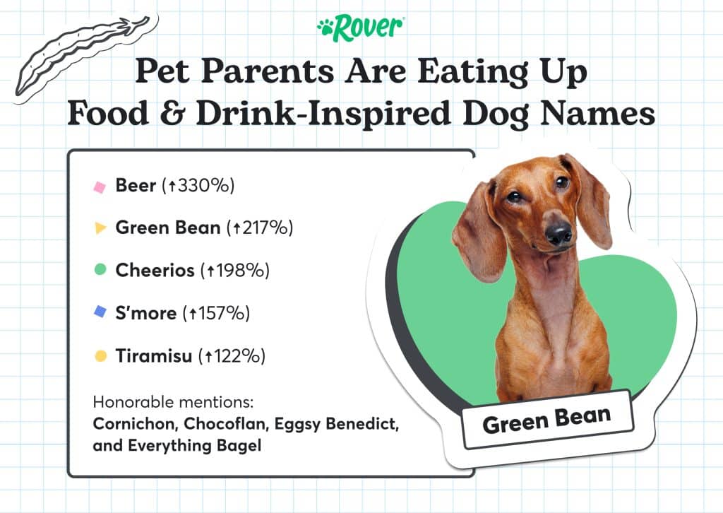 An infographic showing the top trending food and drink inspired names of the year, including a Dachshund named Green Bean.