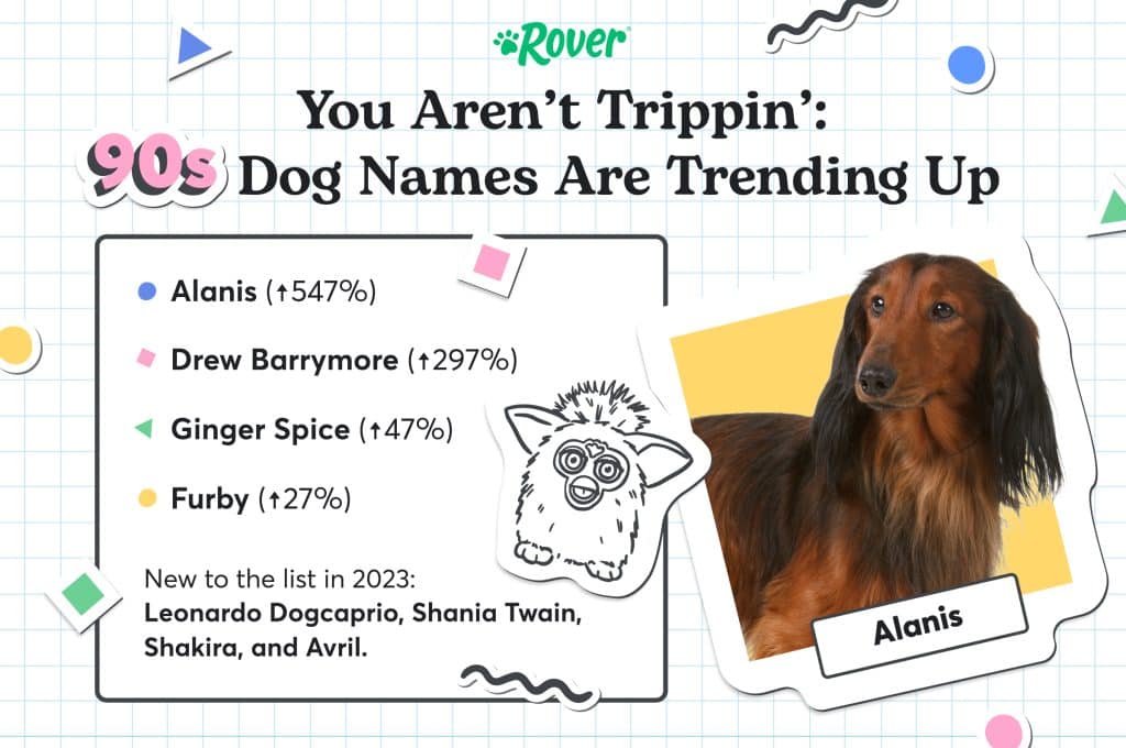 An infographic showing 90s inspired dog names, including a dog named Alanis.