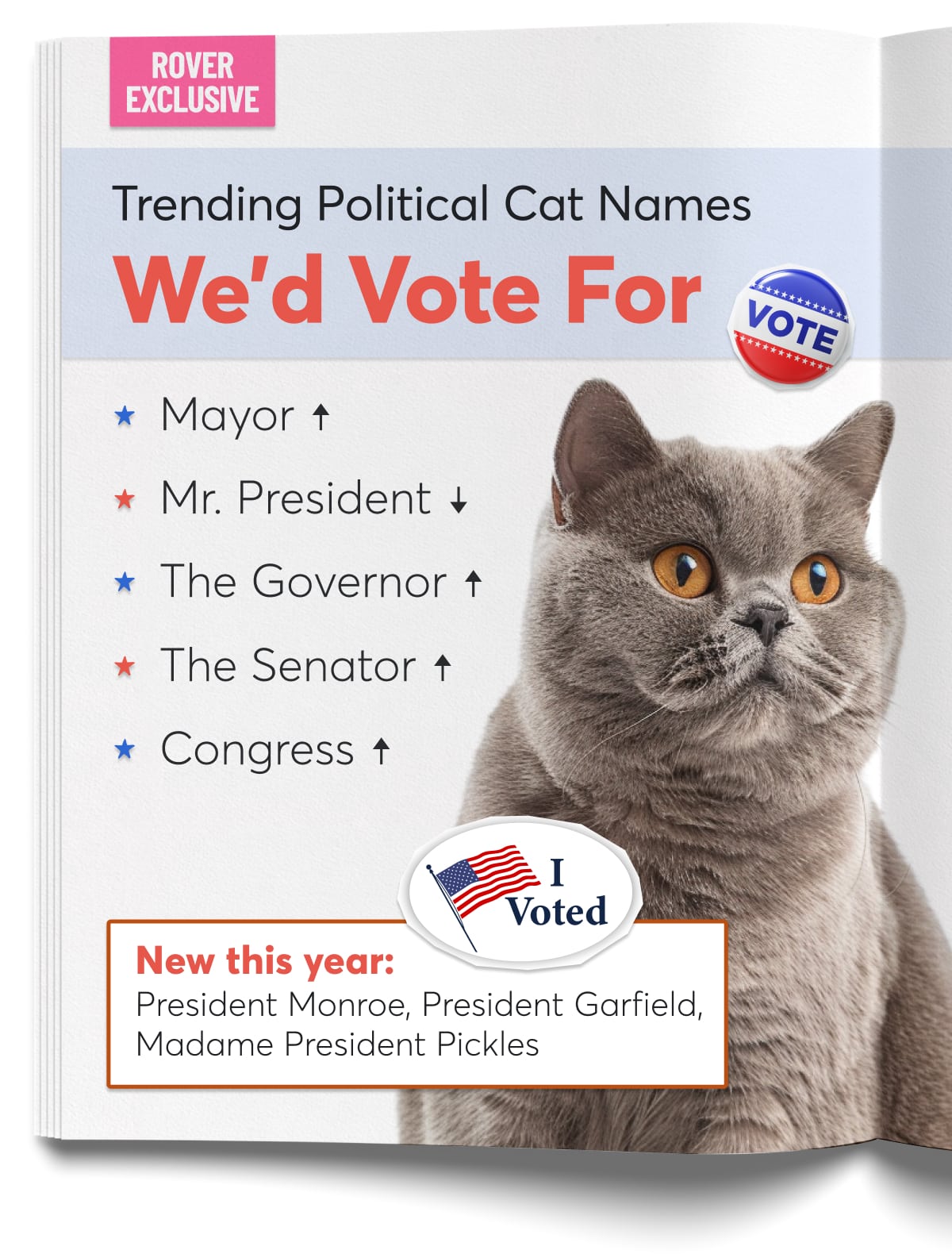 An image of a cat next to a list of politics-inspired cat names