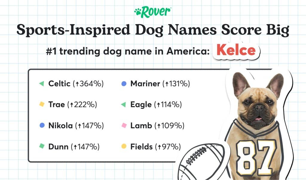 Graphic depicting Sport-Inspired Popular Dog Names