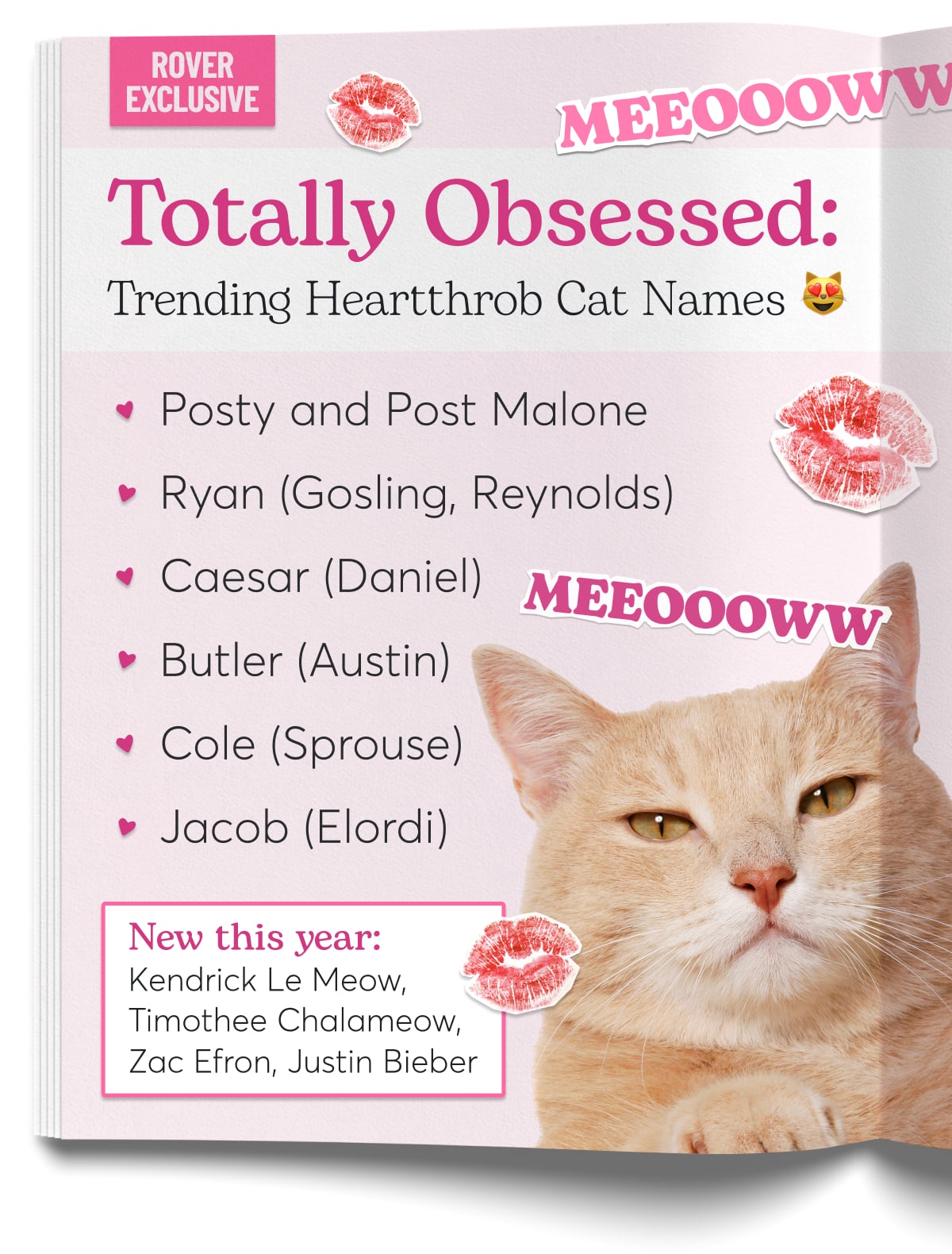 A picture of a cat next to a list of celebrity heartthrob-inspired cat names