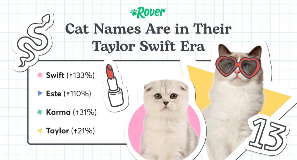 Cat Names inspired by Tailor Swift Era - Cat with heart-shaped glasses and Scottish Fold Cat. 