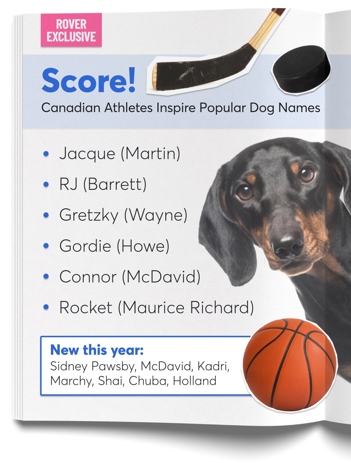 A dog with a basketball next to a list of sports-inspired dog names