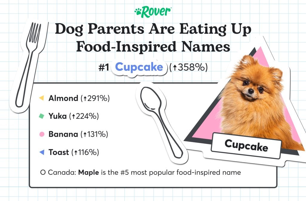Food-Inspired Dog Names with Pomeranian named Cupcake. 