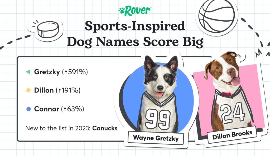Sport-Inspired Most Popular Dog Names graphic showing two dogs with Sport shirt. 