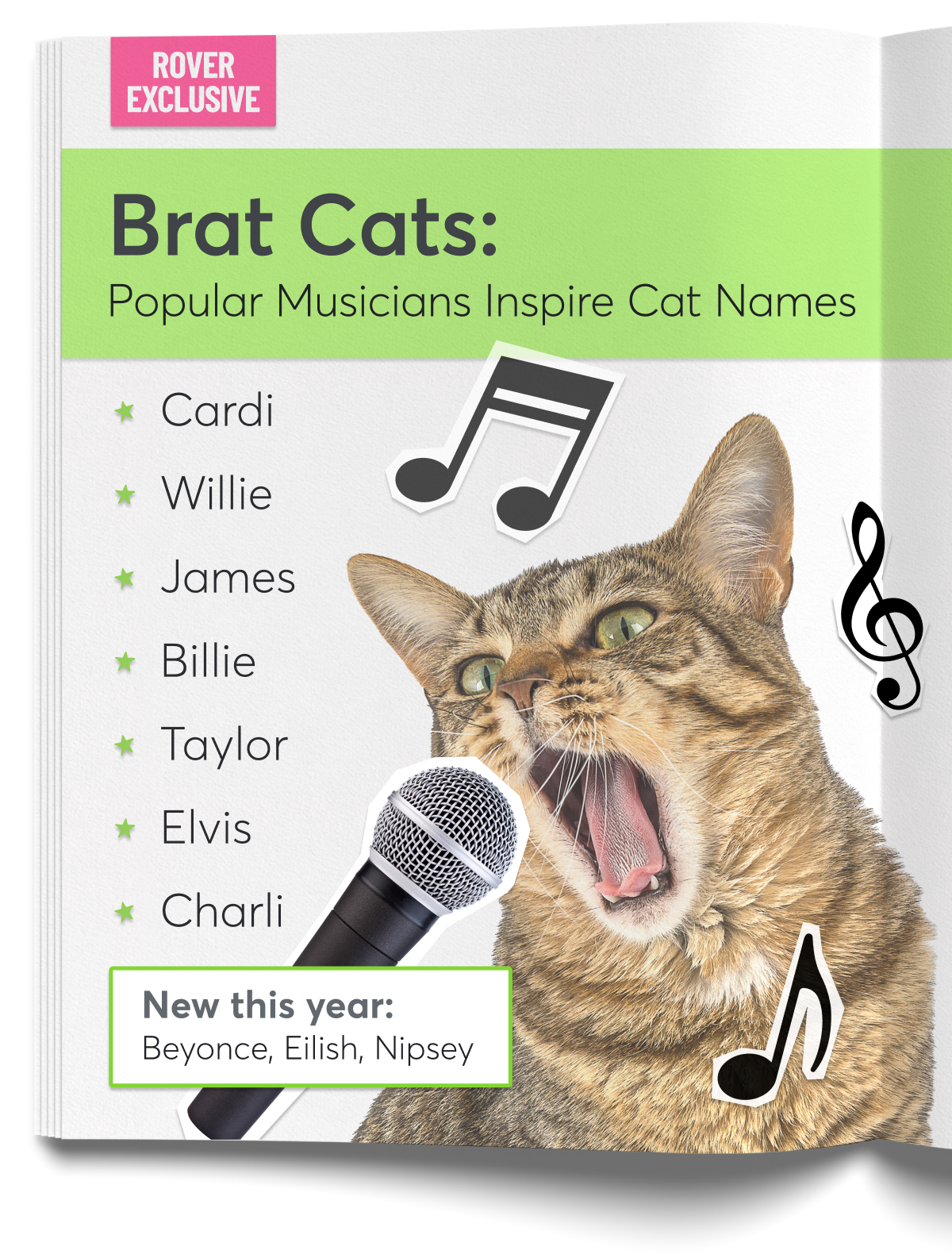 A cat singing into a microphone next to a list of music-inspired cat names