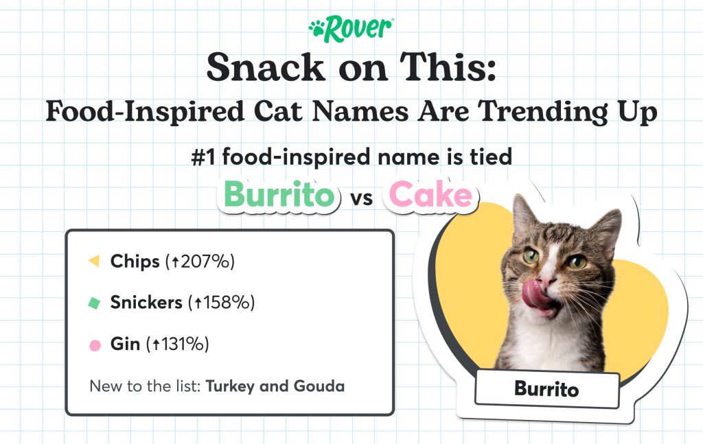 Graphic with Food-Inspired Cat Names showing Cat Licking its tongue named Burrito