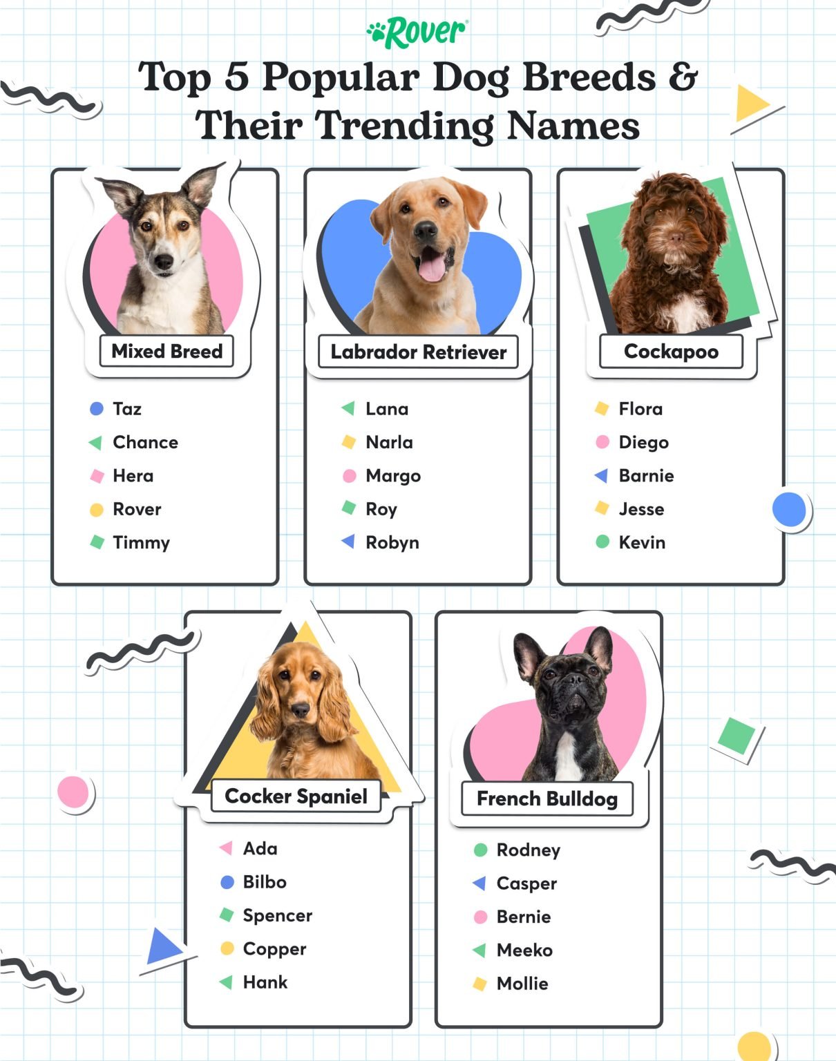 Most Popular Dog Names in the UK
