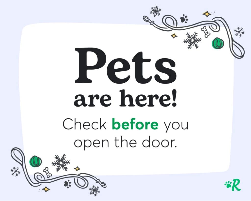 pets are here please knock before you open the door sign