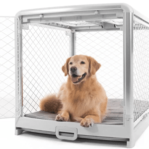 Diggs Luxury Large Dog Crate