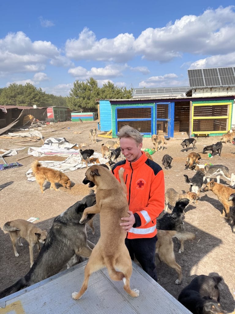 Coalition of Animal Shelters Work Together to Help Ukraine’s Pets