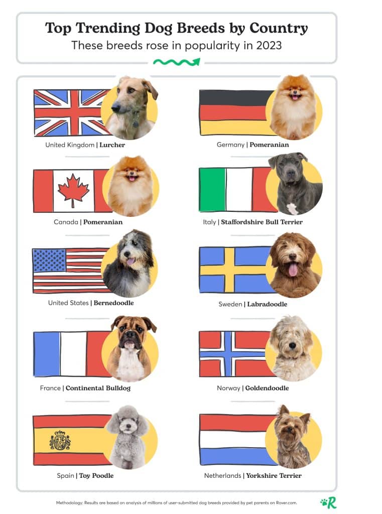Trending dog breeds by country chart with flags