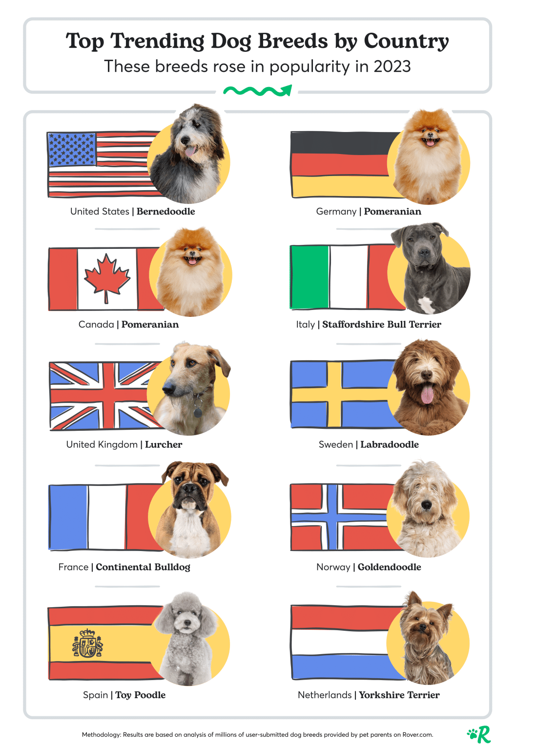 The Most Popular Dog Breeds in Canada 2023