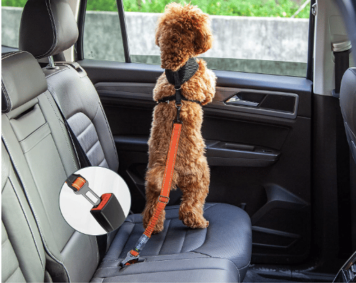 Dog Car Seat Latch