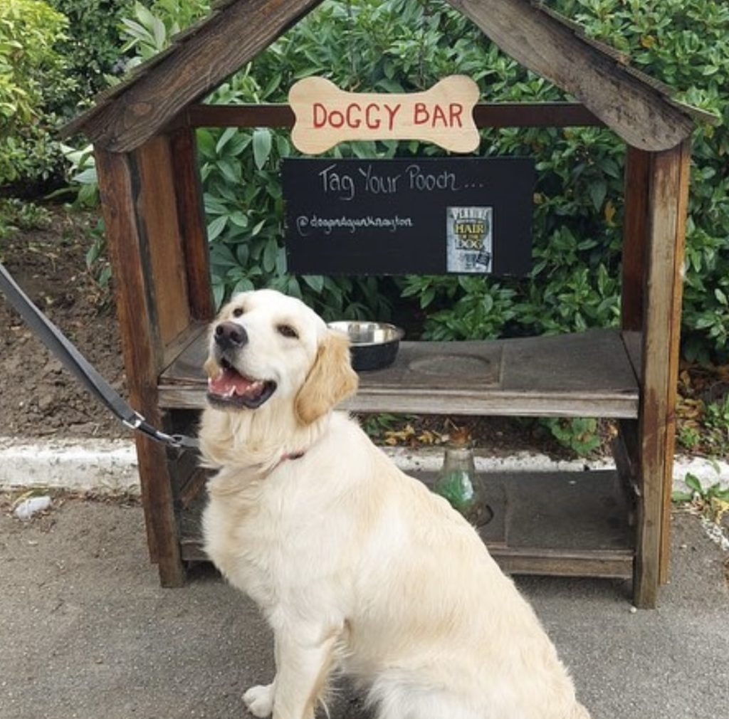 Dog & Gun Doggy Bar, Knayton