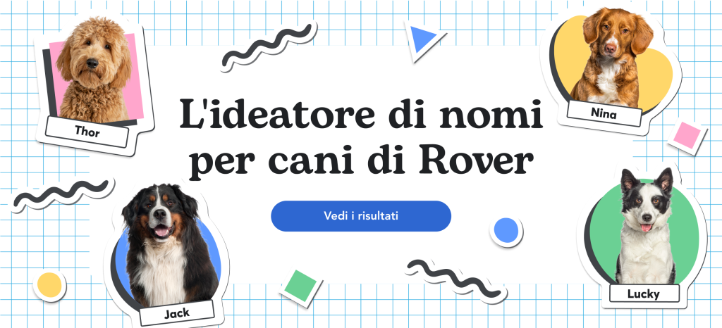 Trova i nomi più popolari che si adattano perfettamente al tuo cane!