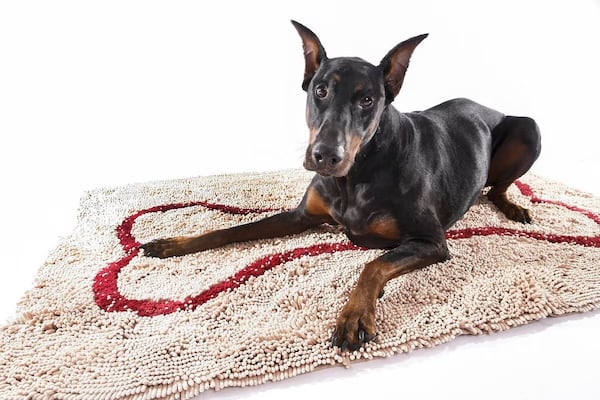 This soggy doggy microfiber mat is an optional dog training supplies pick
