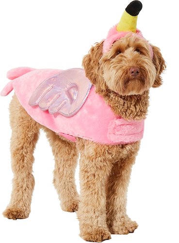 dog dressed as flamingo