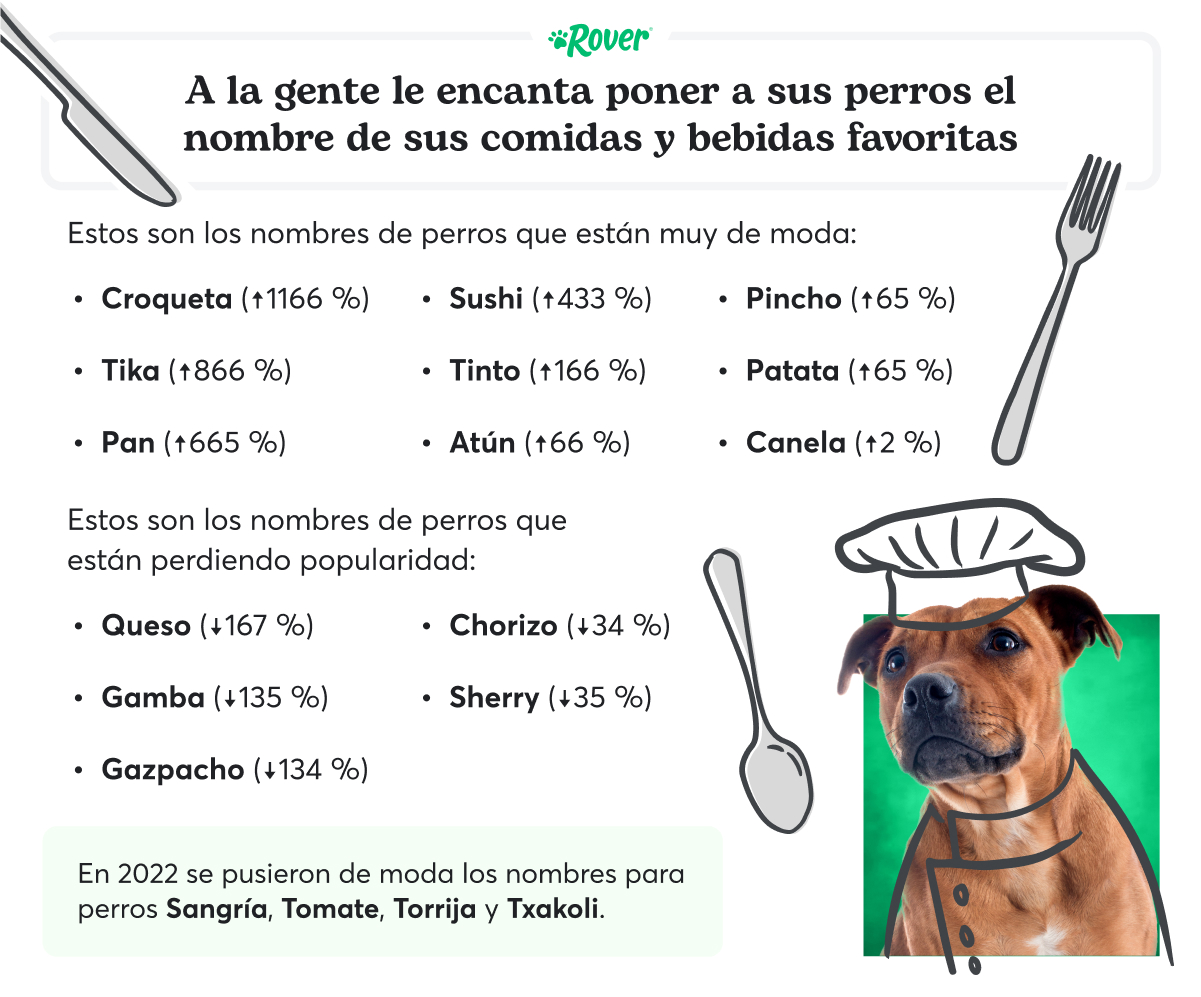 Los 100 nombres de perros más populares del 2022