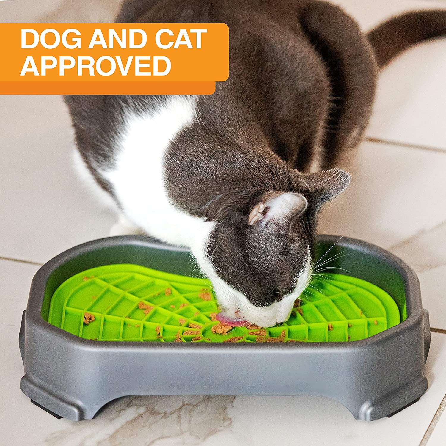 elevated cat bowl with lick pad inside