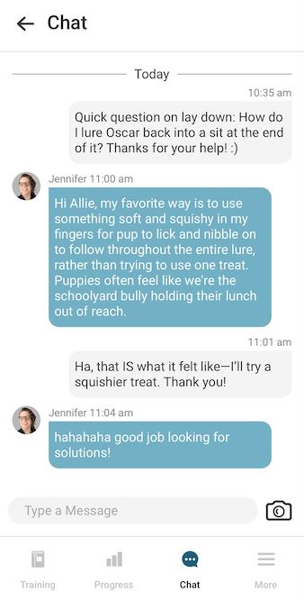 GoodPup chat with trainer