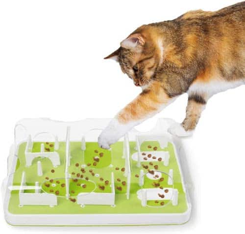 White, orange and black striped cat playing with a rectangular green and white cat puzzle. 
