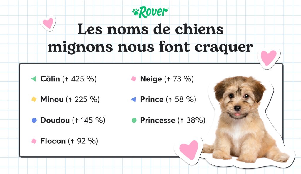 infographie avec le noms de chiens mignons plus populaires y un photo d'un chiot avec coeurs. 