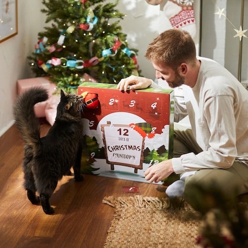 Owner and cat looking at a cardboard cat advent calendar box