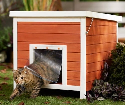 Frisco Outdoor Wooden cat house in orange
