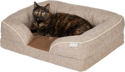 Cat in Frisco Plush Orthopedic Pet Bed