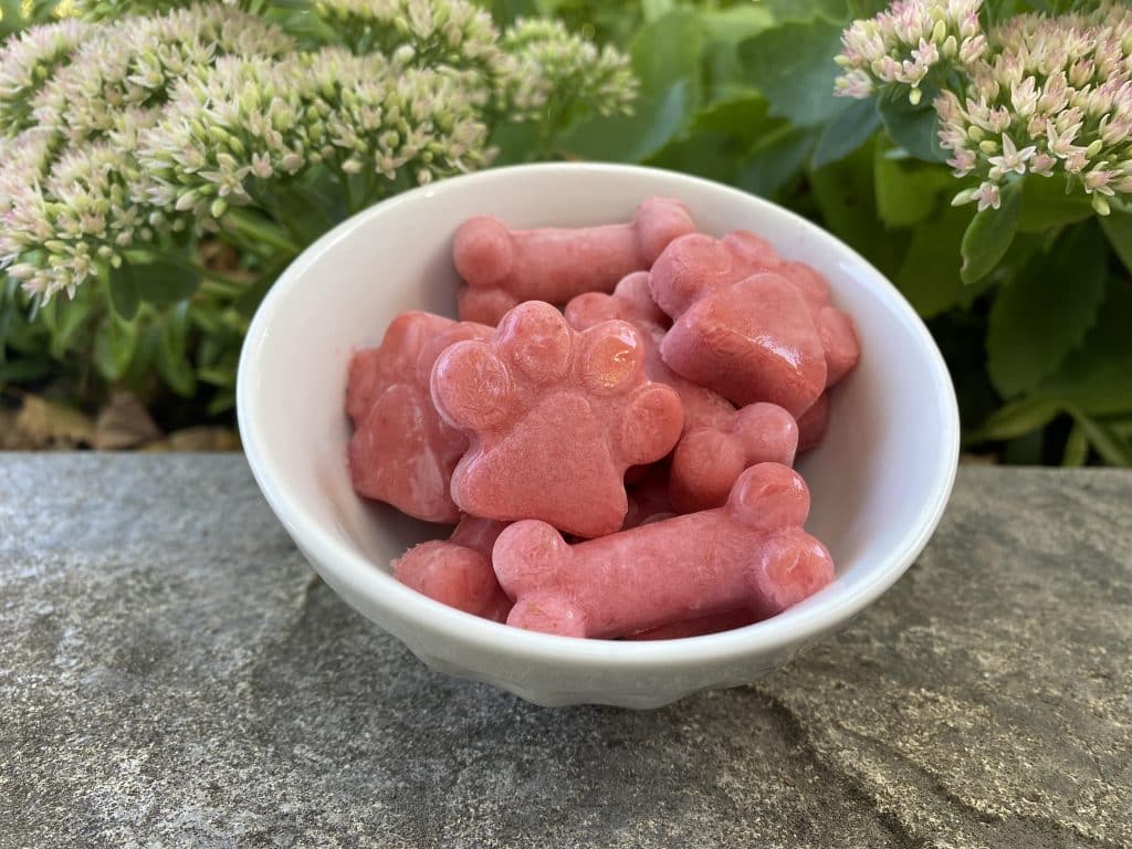 Frozen Strawberry Yogurt Dog Bones and Pawprints